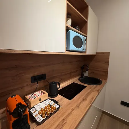 Ferhadija Art Passage Apartment *