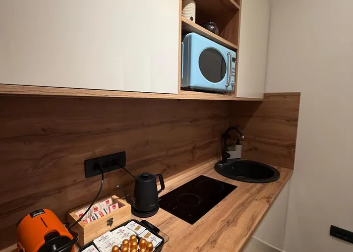 Modern Ferhadija شقة *